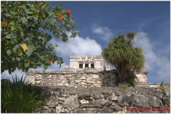 20130511 Meksyk Tulum 11