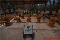 20130513 Meksyk Uxmal-Merida 27