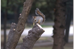 20130516 Meksyk Meksyk 29