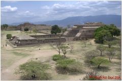 20130503 Meksyk Oaxaca-Monte Alban 59