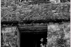 20130507 Gwatemala Tikal-Remate 86