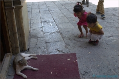 20140818 Teheran 21