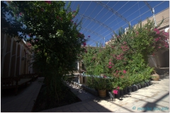 20140822 1 Yazd 50