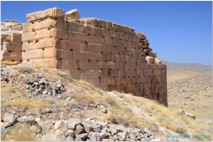 20140825 1 Pasargadae 28