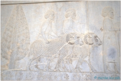 20140825 3 Persepolis 73