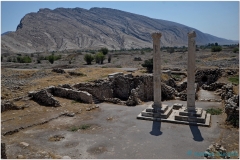 20140826 3 Bishapour 30