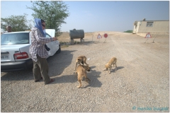 20140827 3 Choga Zanbil 1