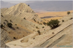 20140828 2 Kermanshah 2