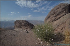 20140902 Alamut Valley&Castle 33