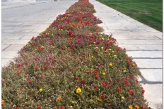 20140905 Teheran 5