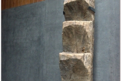 20151122 Santiago 00044