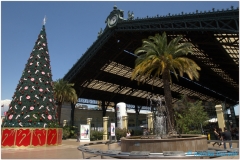 20151123 Santiago 00001