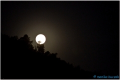 20151125 Santiago 00015