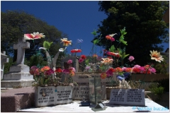 20151126 Valparaiso 00021