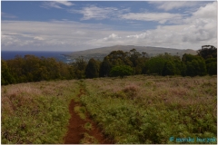 20151128 Rapa Nui 00018b