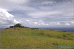 20151128 Rapa Nui 00069