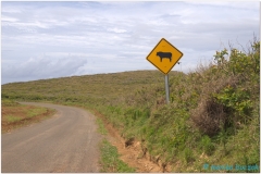 20151128 Rapa Nui 00075