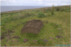 20151128 Rapa Nui 00078