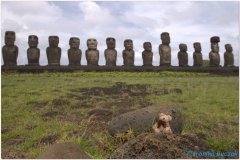 20151129 Rapa Nui 00049
