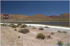 20151203 Atacama 4 00002