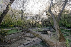 20190403-Bukareszt-66_DxO_DxO