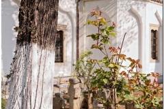 20190404-Bukareszt-11_DxO_DxO