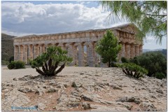 Segesta