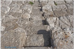 Segesta
