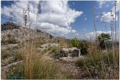 Segesta