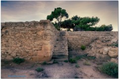 Mozia