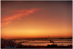 20191008-5-Marsala-4_Nik_HDR