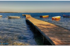 Marsala