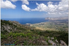 Erice
