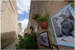 Erice