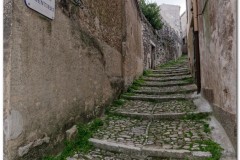 Erice