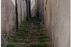Erice