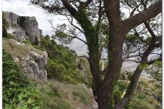 Erice