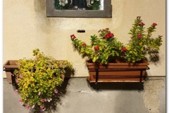Cefalu