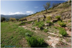 Halaesa