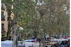 20231203-Madryt-1-el-Rastro-3