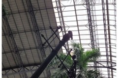 20231203-Madryt-3-R.Sofia-Atocha-10