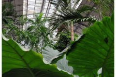 20231203-Madryt-3-R.Sofia-Atocha-12