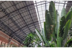 20231203-Madryt-3-R.Sofia-Atocha-13