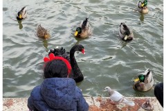 20231203-Madryt-5-Retiro-14