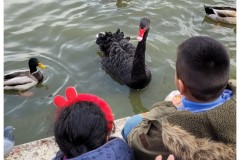 20231203-Madryt-5-Retiro-18