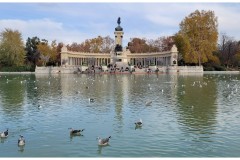 20231203-Madryt-5-Retiro-25