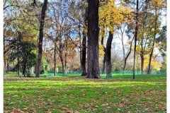 20231203-Madryt-5-Retiro-7