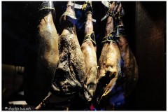 20231203-Madryt-7-10