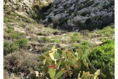 20241002-3-Blue-Grotto_41