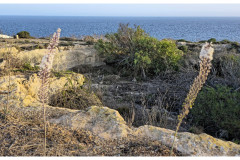 20241002-4-Hagar-Qim_28_DxO